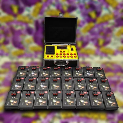 Távirányítású indító berendezés 24 csatornás detonátor (professzionális)